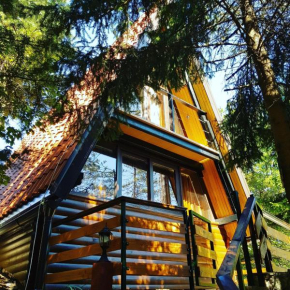 Little paradise house